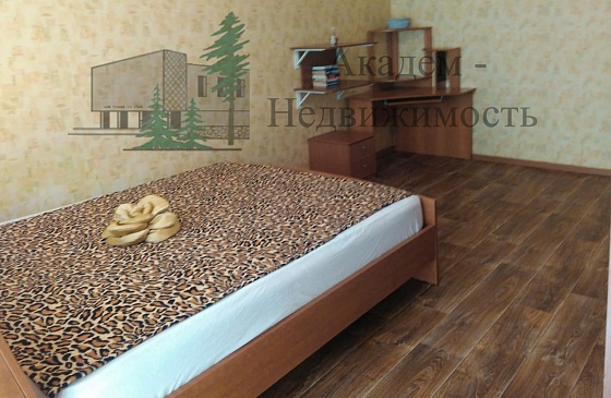 Снять двушку на Демакова в Академгородке Новосибирска