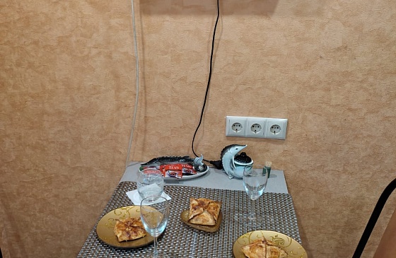 Снять двухкомнатную  квартиру-гостиницу в Академгородке Новосибирска возле Мешалкина и НВВКУ