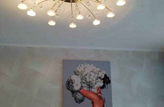 Снять 3-х комнатную на шлюзе Академгородка Новосибирска