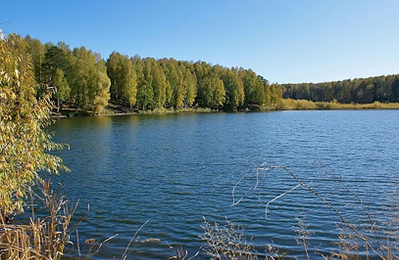 Купить земельный участок возле Академгородка на Каинке