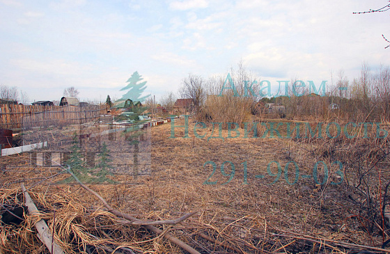 Внешний вид участка