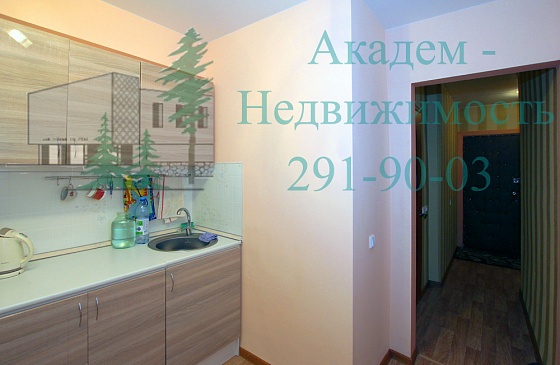 Посуточные квартиры в Академгородке Новосибирска можно снять на сайте Академ-Недвижимость