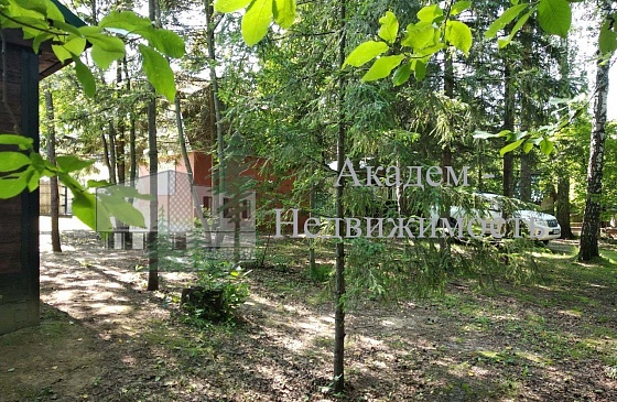 Продам дачу в СНТ Нива рядом с Академгородком.